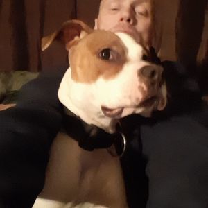 Meet your Posher, Wayne